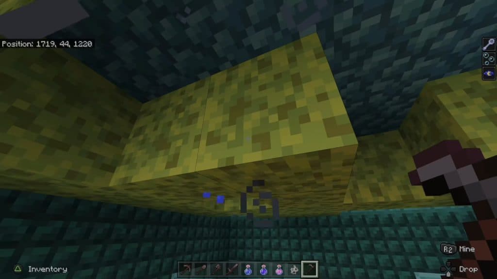 Sponge in minecraft