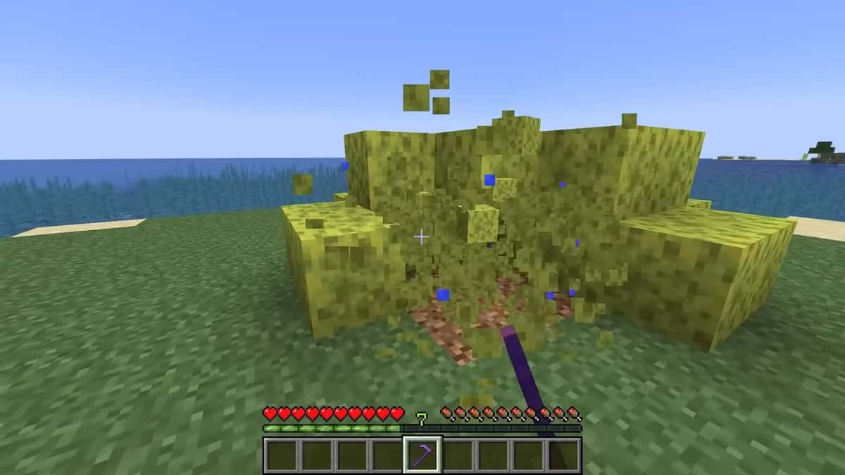 Finding sponges in minecraft