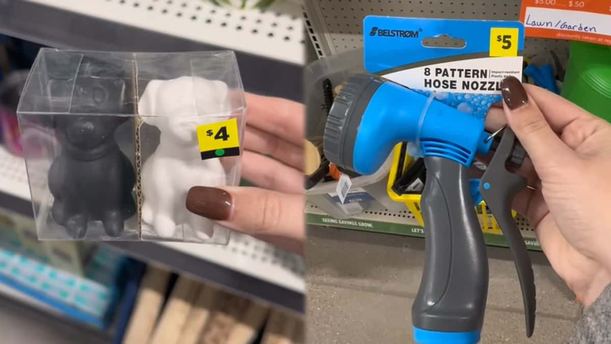 Dollar General is selling items for just one penny but there’s a catch