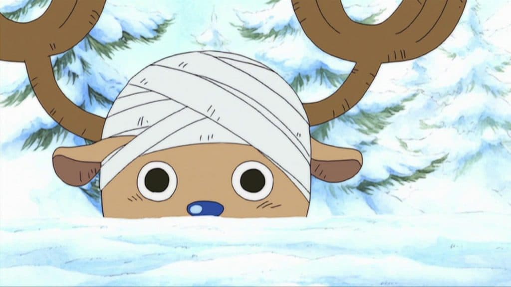 One Piece's Tony Tony Chopper