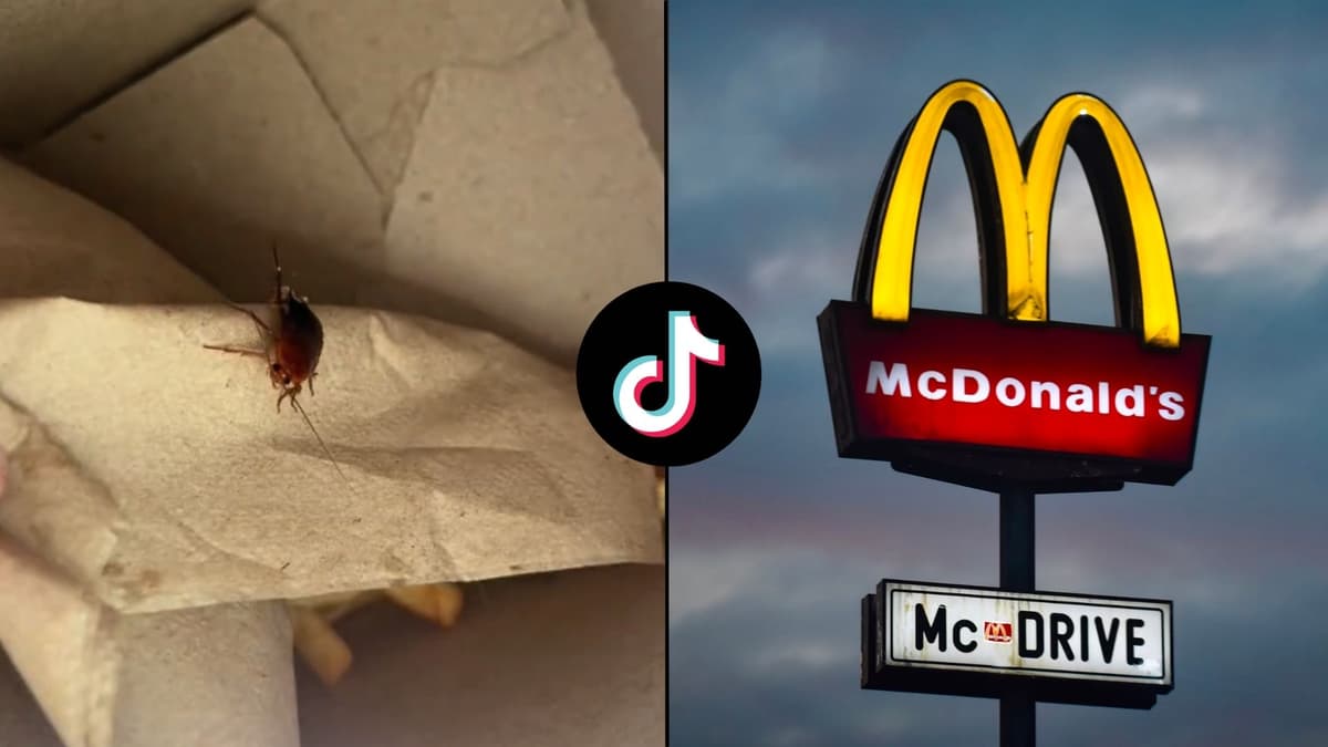 Cockroach on mcdonalds napkin next to store logo