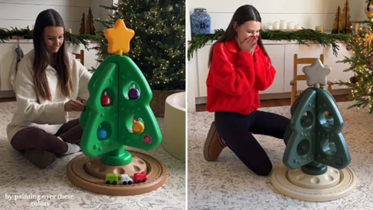 mom-outrages-tiktok-chistmas-tree-makeover