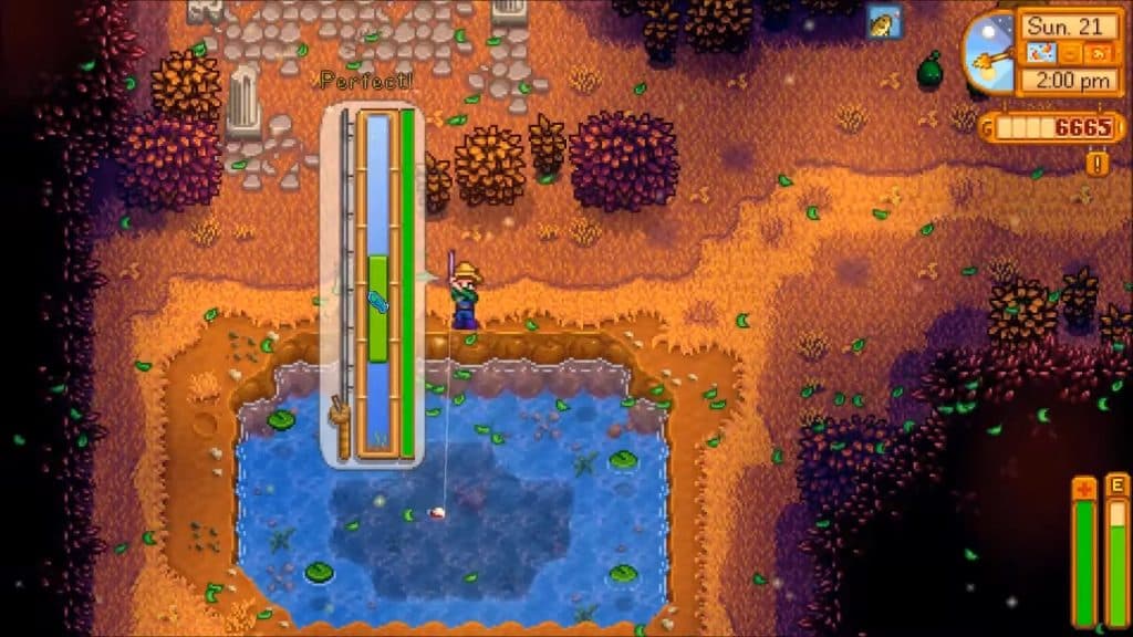 woodskip fish stardew valley3