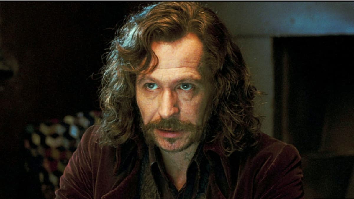 Gary Oldman as Sirius Black