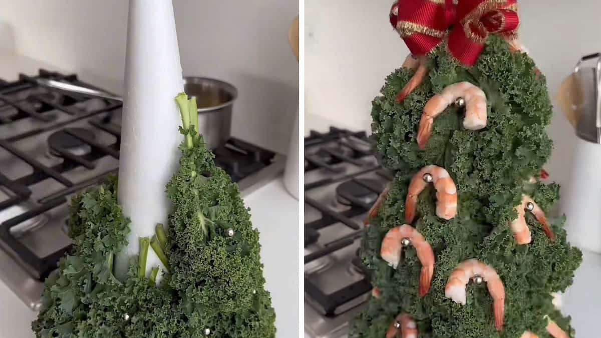 viral shrimp tree