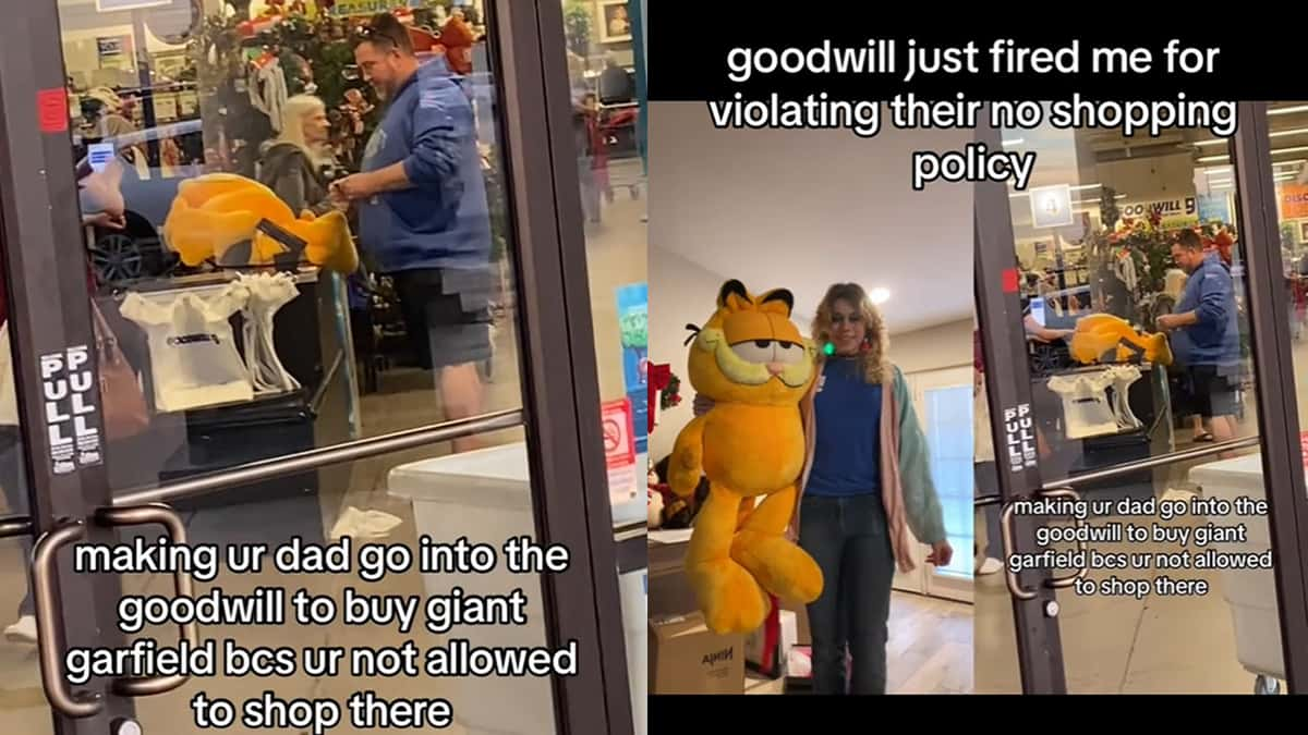 TikToker fired from goodwill after dad buys stuffed garfield