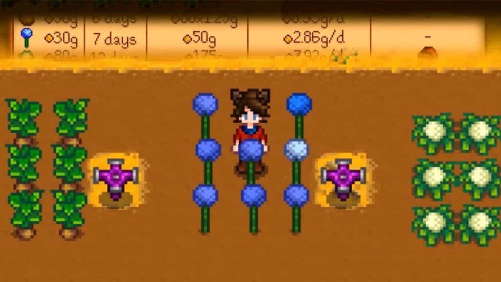 summer crops stardew valley