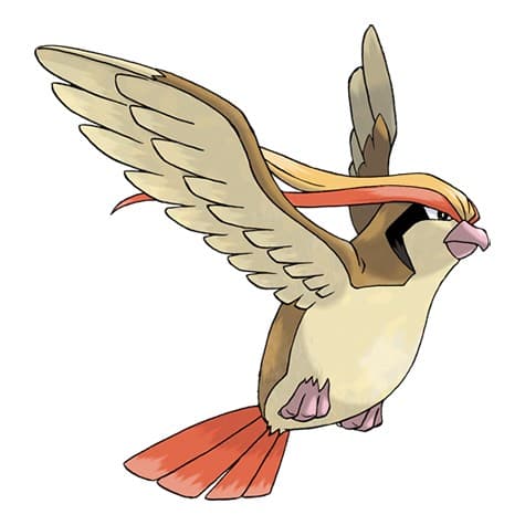 Pidgeot Pokemon