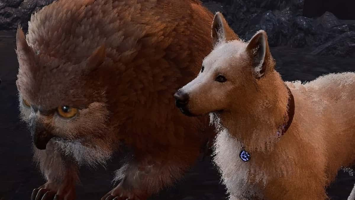 Scratch the dog and the Owlbear cub in Baldur's Gate 3