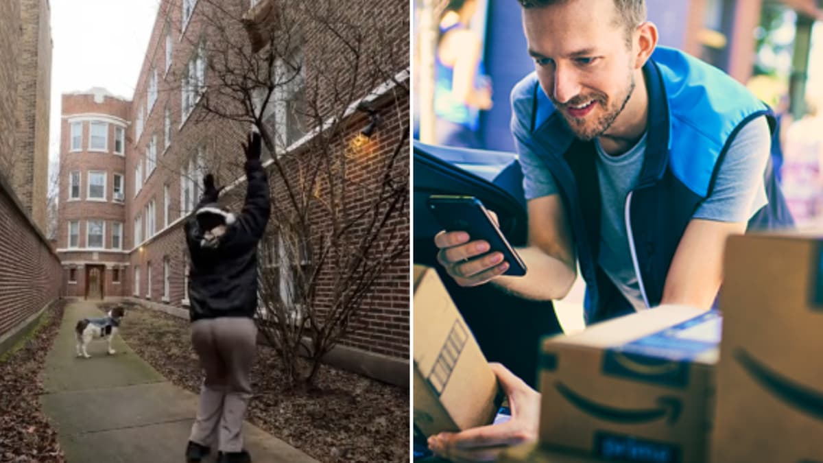 amazon delivery driver leaves package in tree