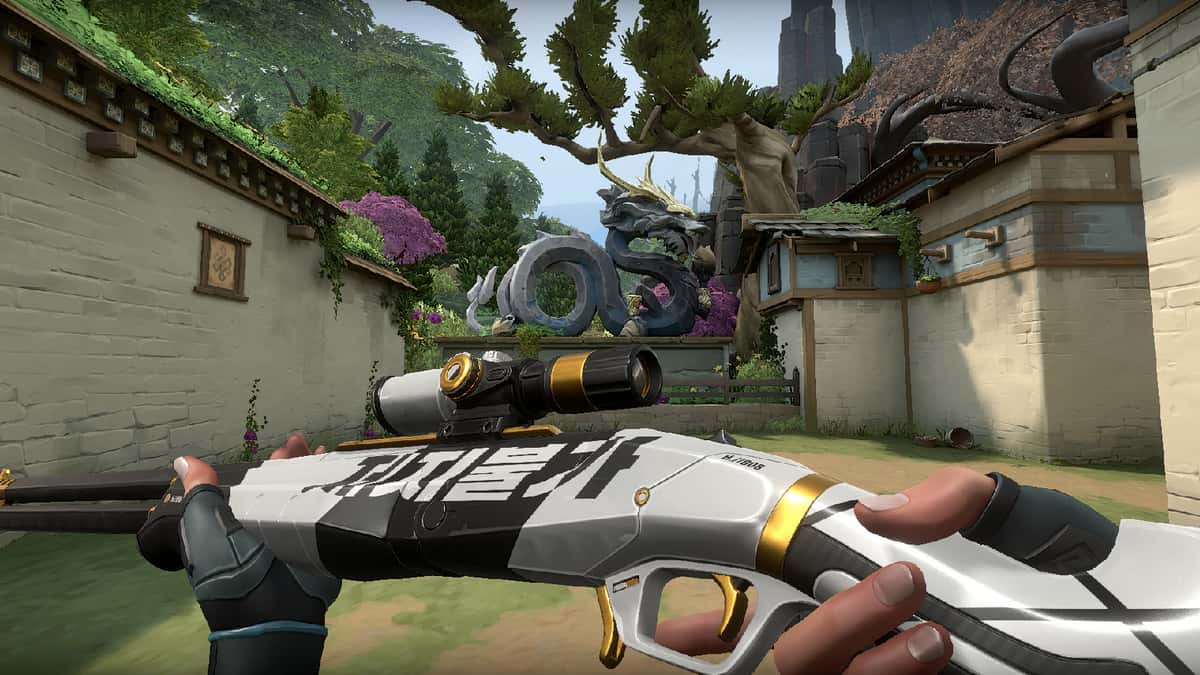 an image of a skin from Valorant Throwback Pack Outlaw Bundle