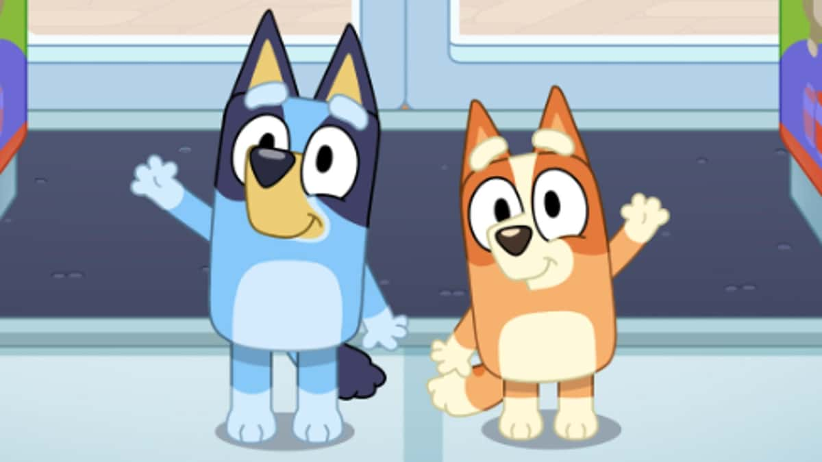 Bluey and Bingo