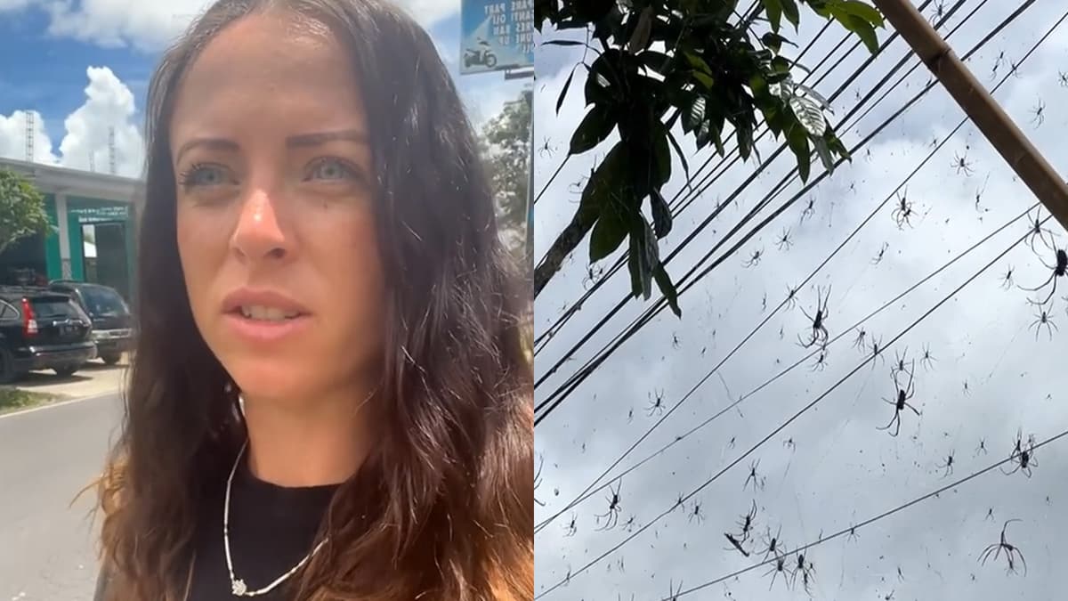 tiktok woman showing spider invasion