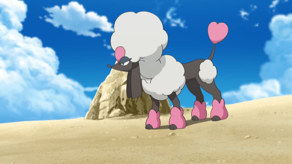 Heart Trim Furfrou in the Pokemon anime