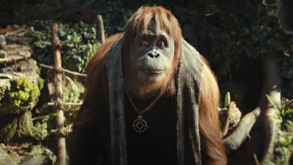 Kingdom of the Planet of the Apes Raka