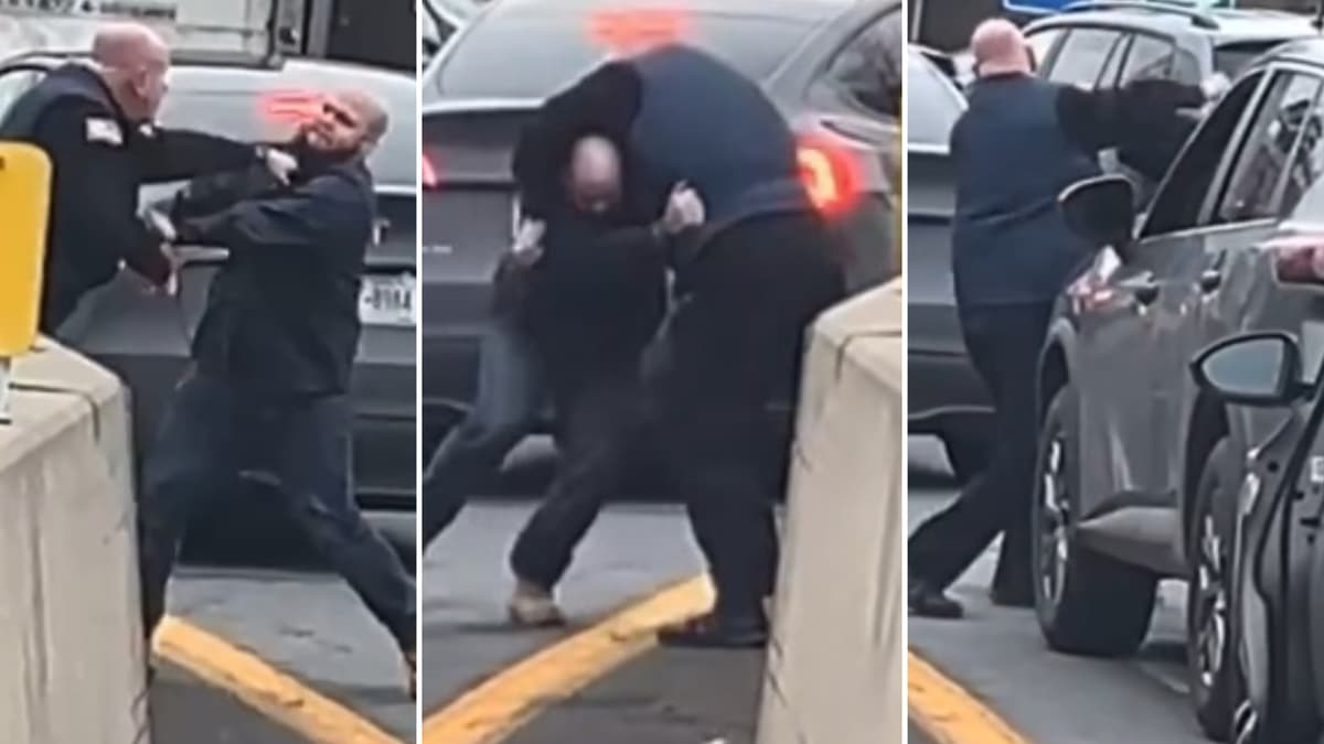 new york dads fight on road waiting for green light