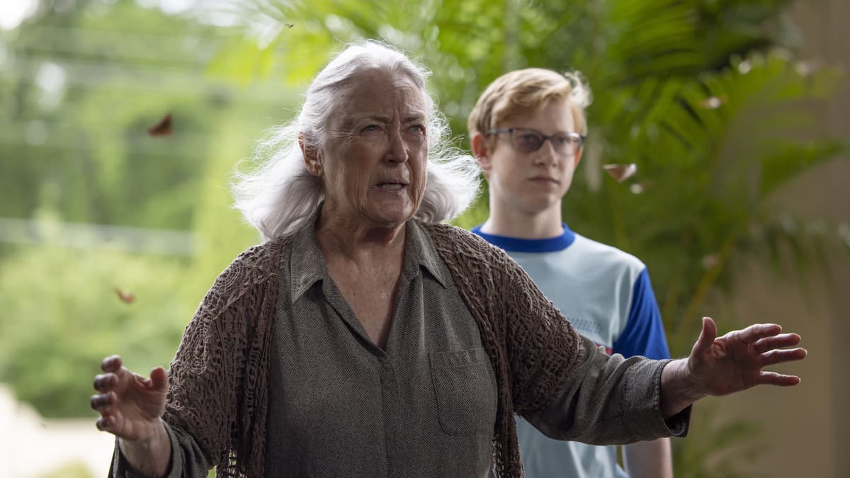 Just Beyond: a grandmother and grandson stand surrounded by trees