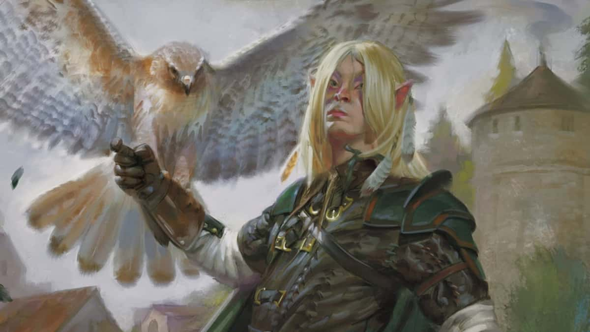 Elf druid with owl com