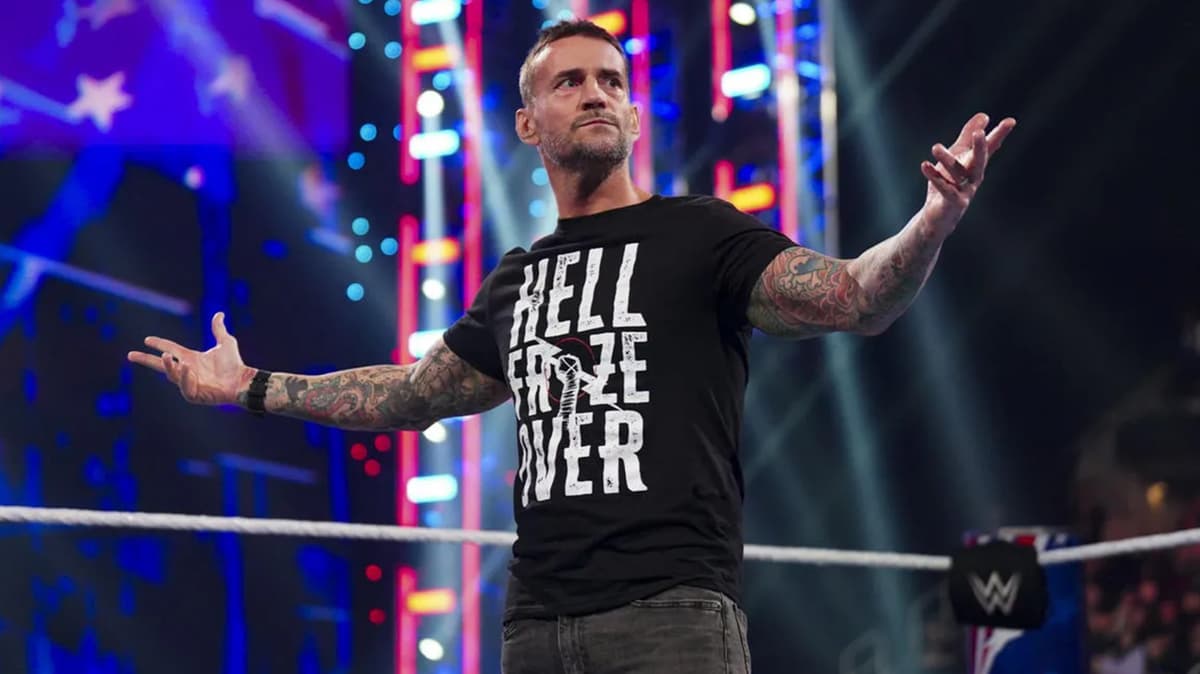 CM Punk in WWE ring