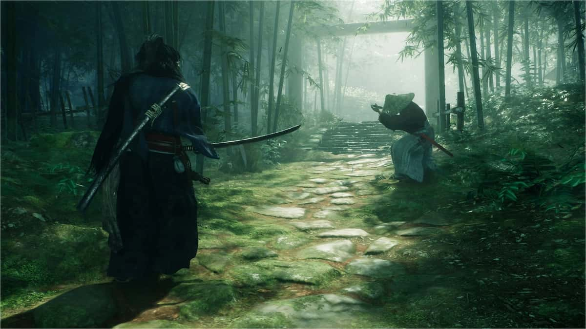 A screenshot from the game Rise of the Ronin