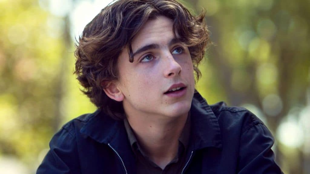 Timothee Chalamet in lady bird