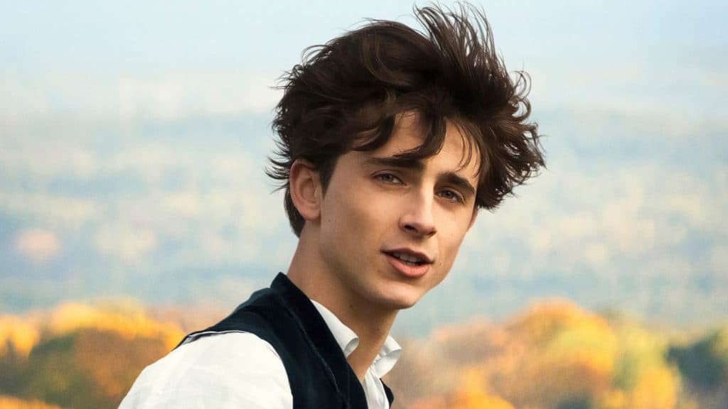 Timothee Chalamet in Little Women