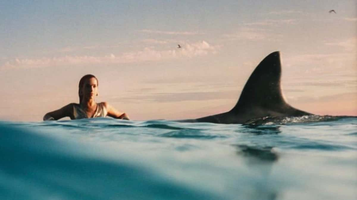 Dua Lipa swimming in the ocean next to a shark