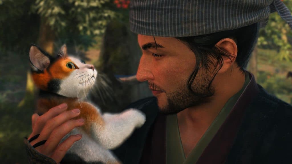 Ronin looking at a cat