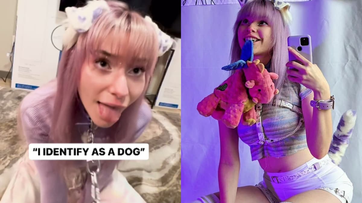 twitch streamer meowdalyn identifies as a dog