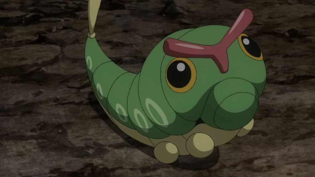 Caterpie in Pokemon anime