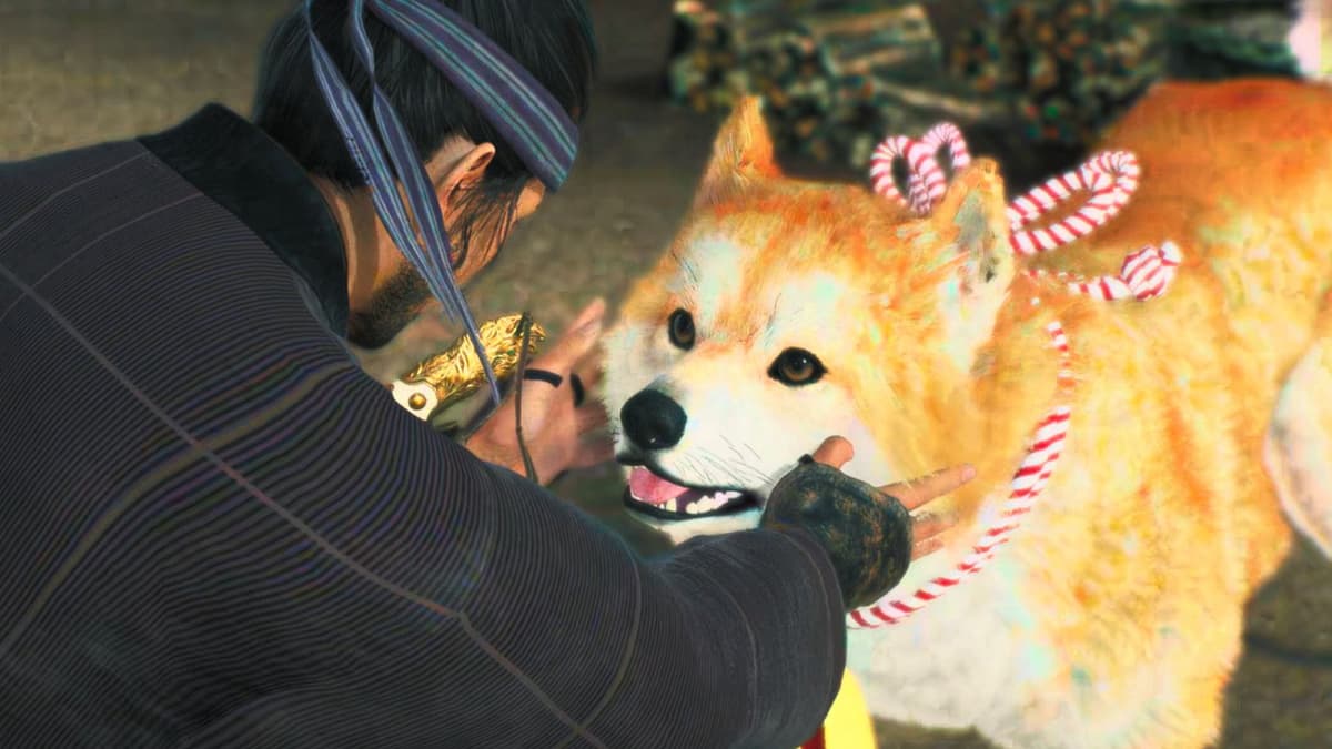 Ronin petting his dog