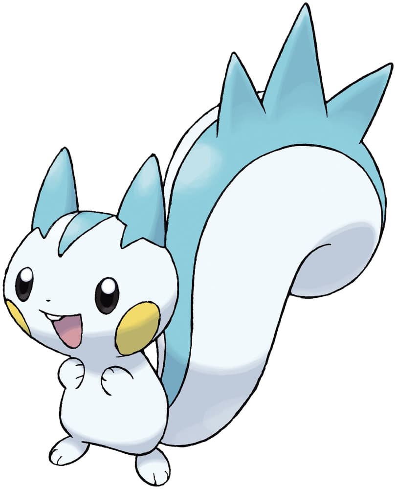 Pachirisu