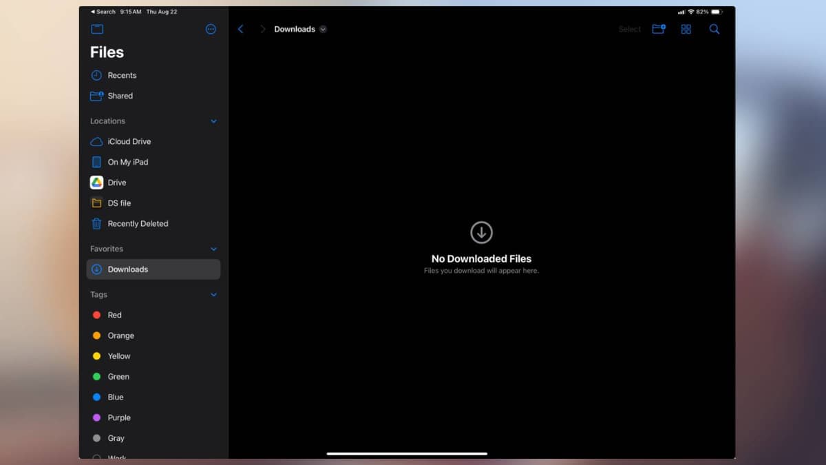 Screenshot of the downloads folder on an iPad.