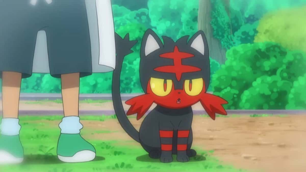 Litten from Pokemon anime