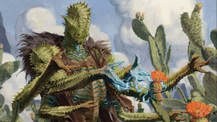 MTG’s Cactus Commander seriously powers up green decks - Dexerto