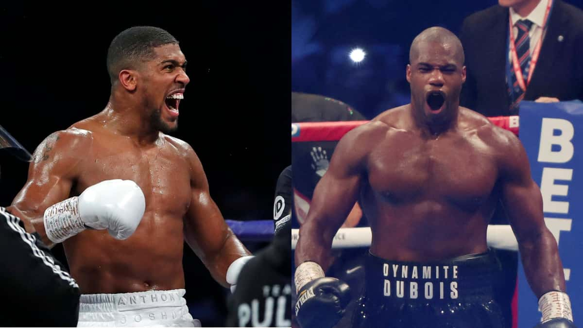 Anthony Joshua (L) and Daniel Dubois (R)