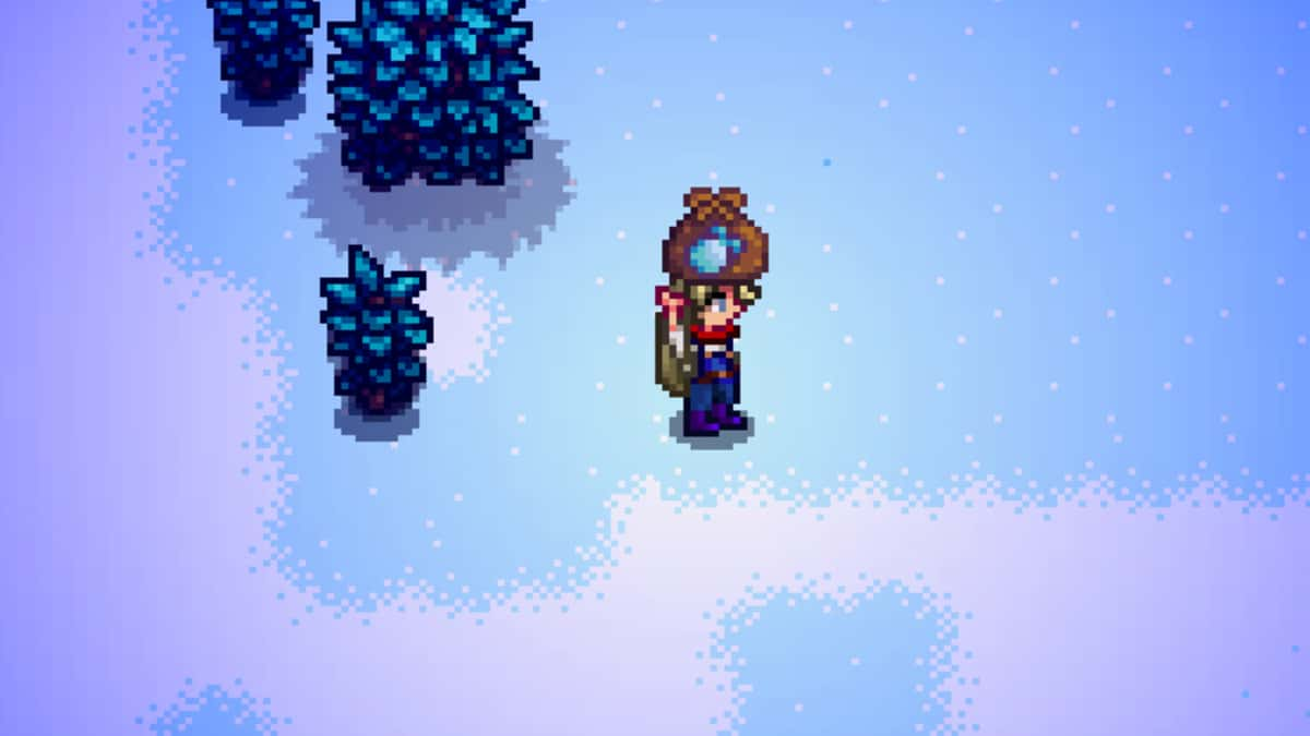 A Stardew Valley farmer holding a bag of powdermelon seeds above their head