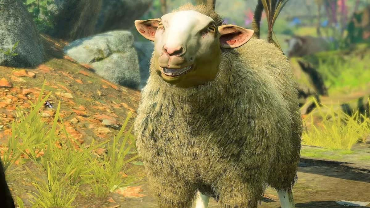 Baldur's Gate 3 sheep