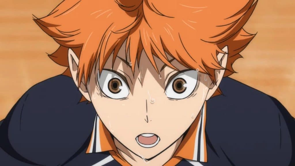 Shoyo Hinata