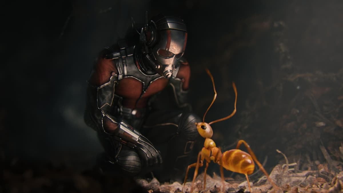 A still from Ant-Man