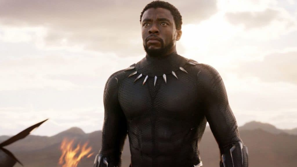 Chadwick Boseman as T'Challa in Black Panther (2018)