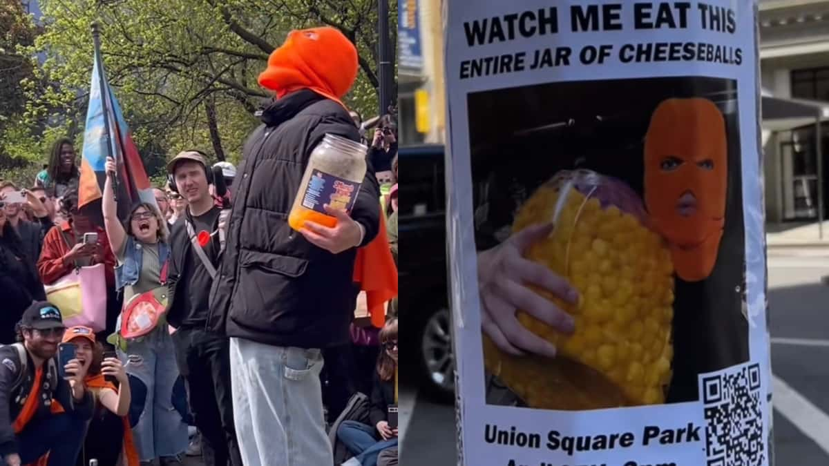 cheese ball man nyc