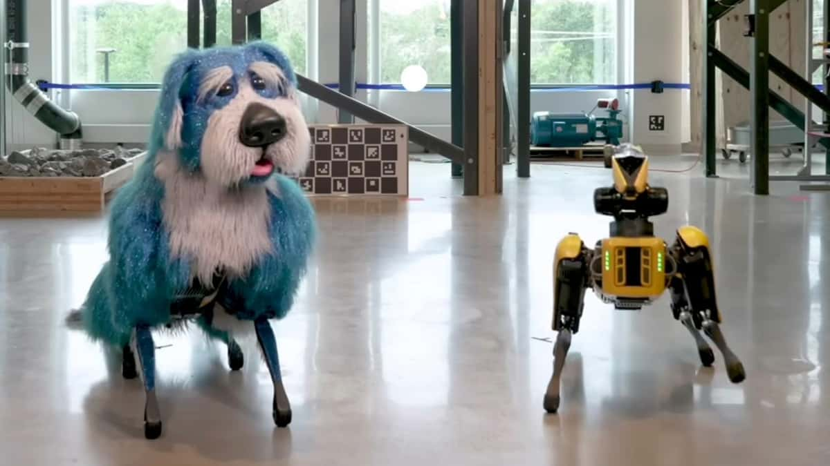 Boston dynamics furry robot sparkles next to Spot