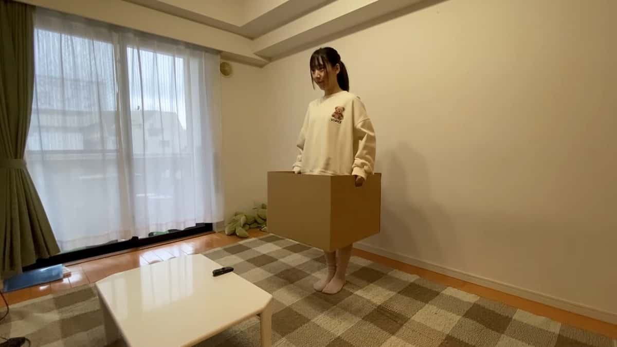 This Japanese Nintendo Switch game can be played with a cardboard box ...