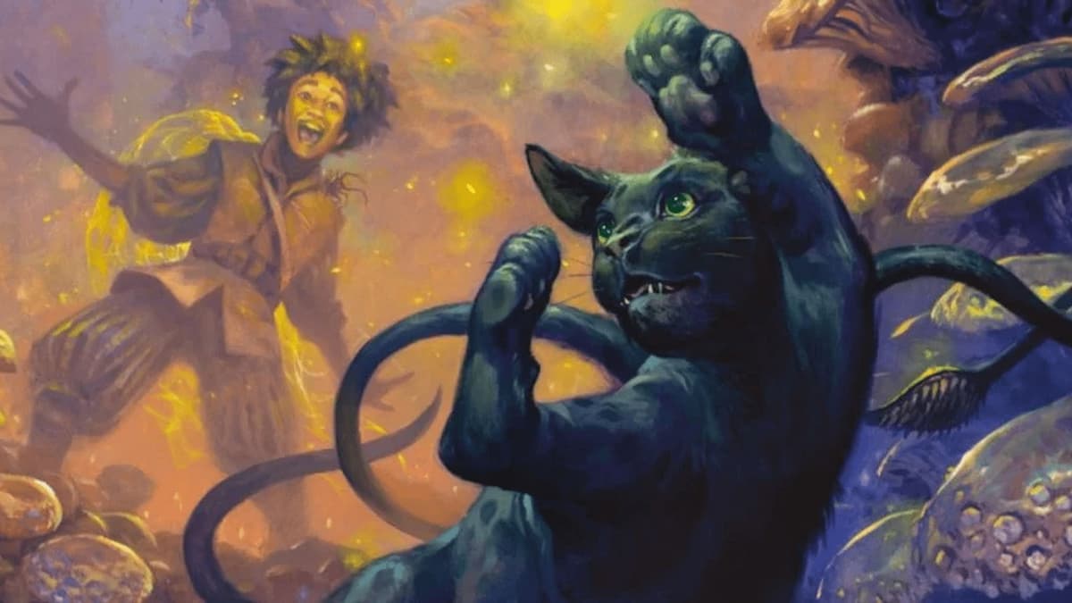 Cats make no sense in the current D&D 5e rules