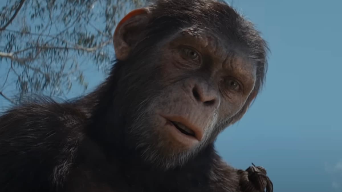 Jordan Peele explains meaning of Gordy chimp sequence in Nope - Dexerto