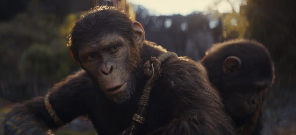 Noa in Kingdom of the Planet of the Apes.