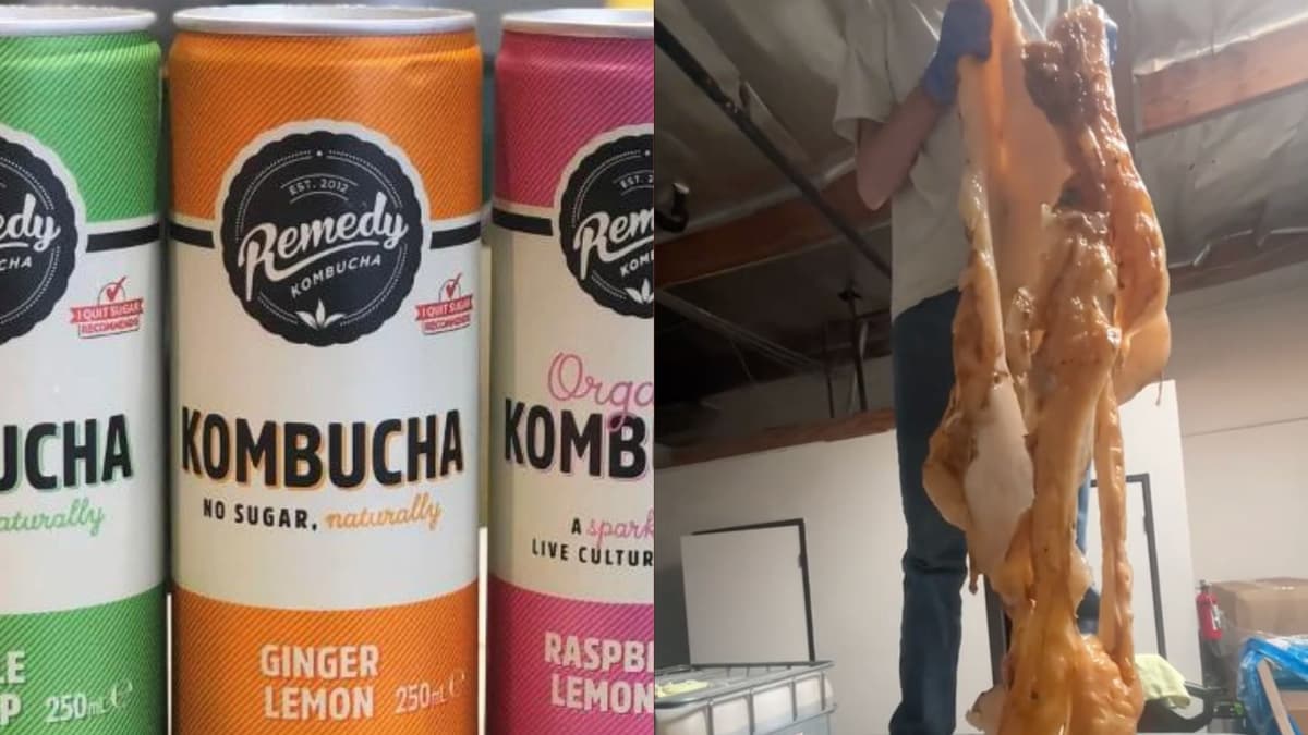 kombucha