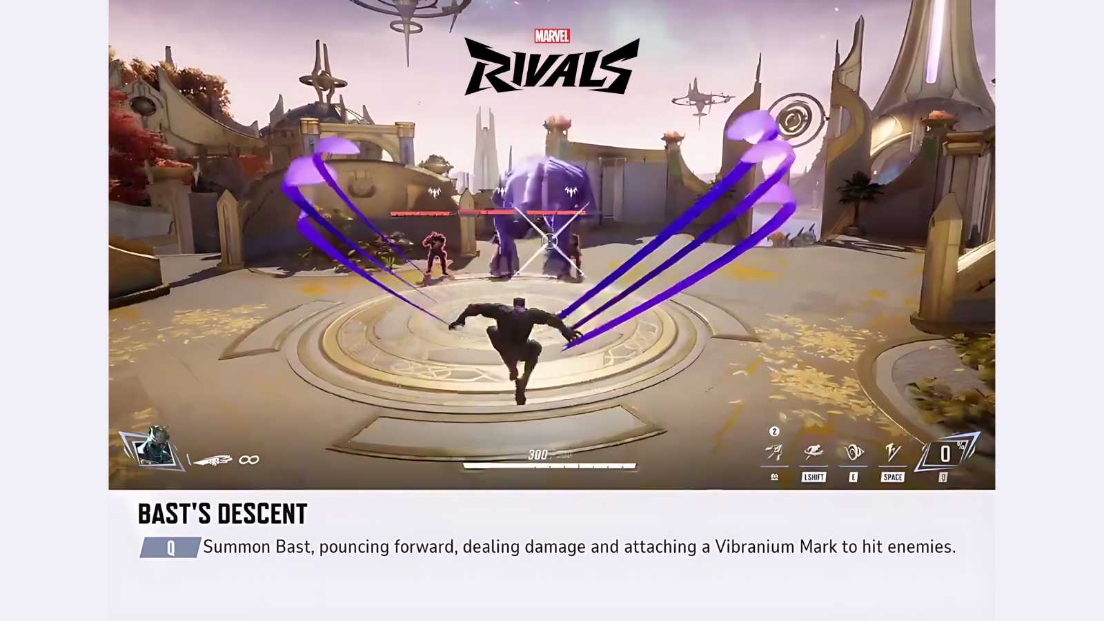 Black Panther Q ability Marvel Rivals