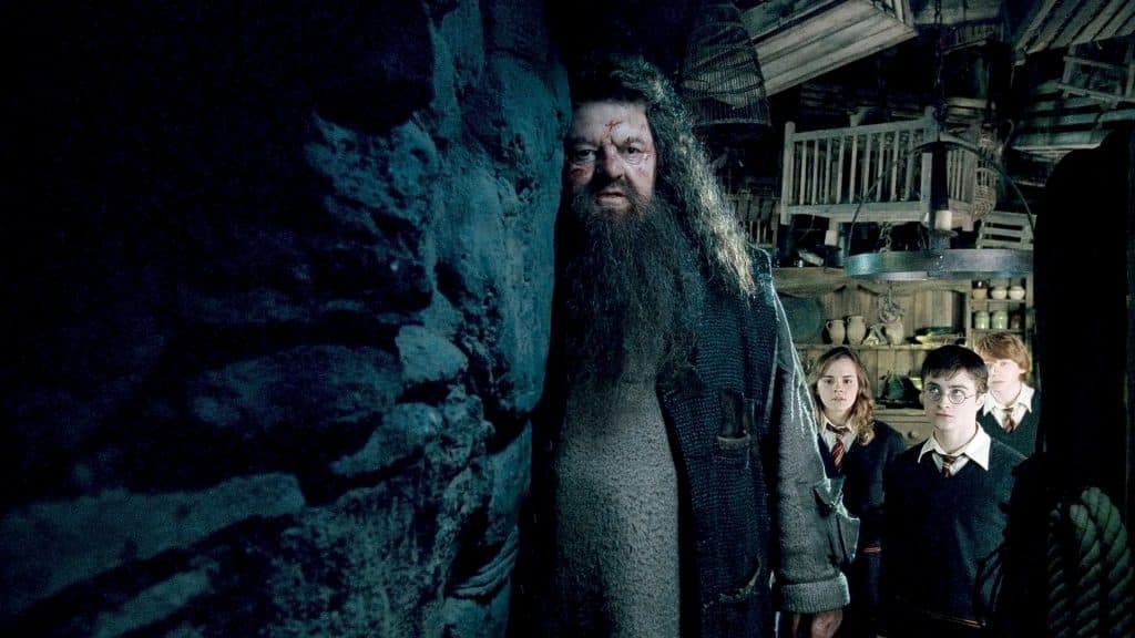 Hagrid Harry Potter